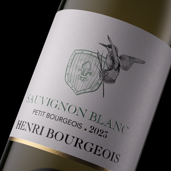 Sauvignon Petit Bourgeois, 6 Stück, Loire, Frankreich