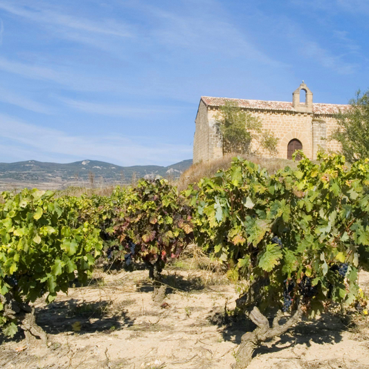 Tarón Tempranillo, Rioja, Spanien