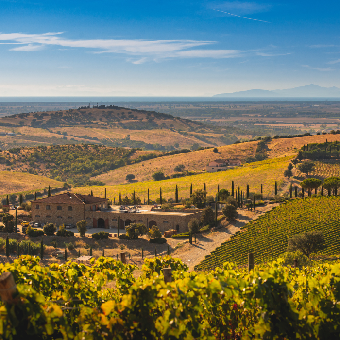 2021 Chianti Classico Riserva, Toskana, Italien