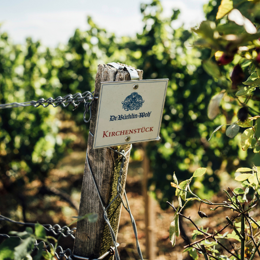 Bio Blanc, Pfalz, Deutschland