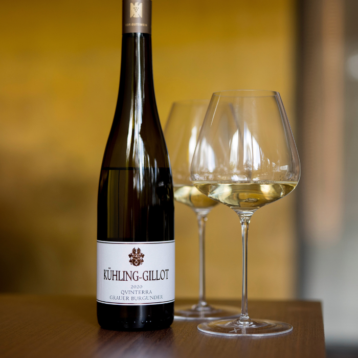 Bio Riesling Qvinterra, Rheinhessen, Deutschland