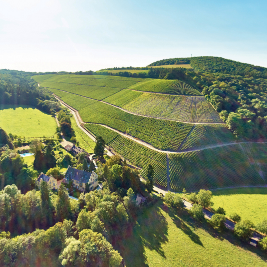 2022 Abtsberg GG Riesling, Mosel, Deutschland