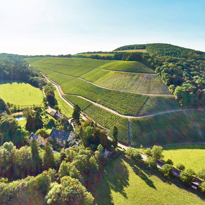 Schloss Riesling, Mosel, Deutschland