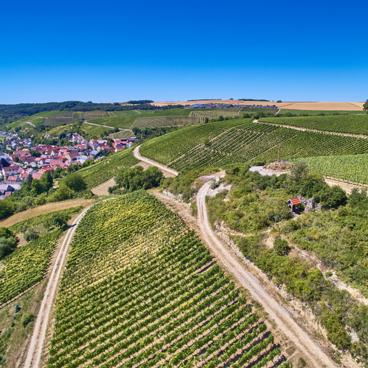 Käfer Bio Silvaner Retzstadt, Franken, Deutschland